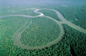 The Amazing Amazon River